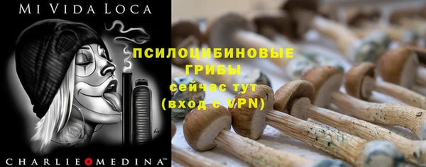 ECSTASY Балабаново