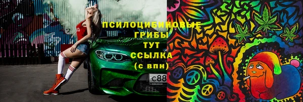 PSILOCYBIN Баксан
