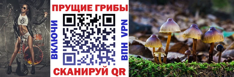Галлюциногенные грибы мицелий  KRAKEN зеркало  Черняховск 