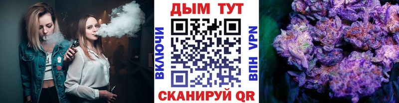 как найти наркотики  Черняховск  Шишки марихуана сатива 